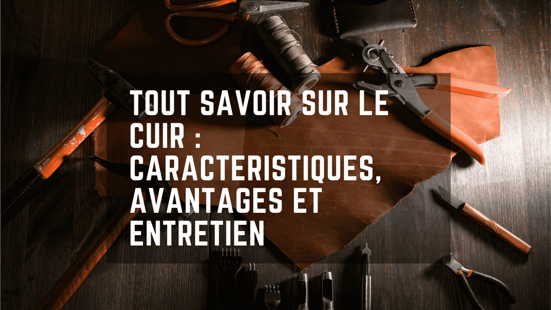 Tout savoir sur le cuir : caractéristiques, avantages et entretien - Restaur Cuirs